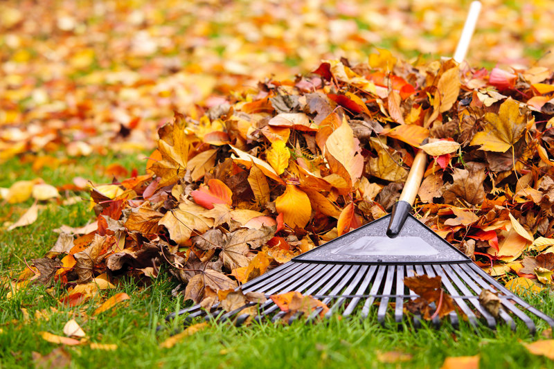 7 Important Fall Landscaping Maintenance Tips