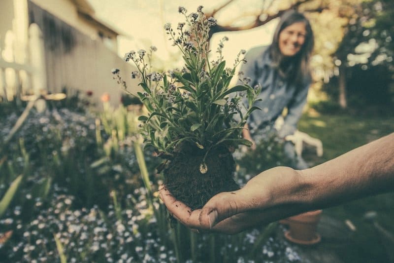 8 Kid-Friendly Landscaping Ideas Every Family Will Love