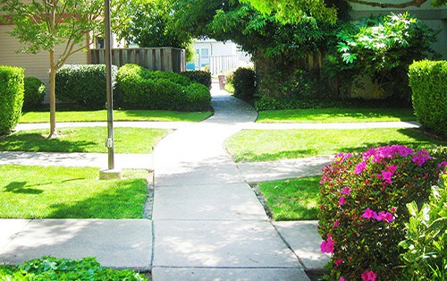 landscaping at apartments