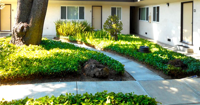 apartment and condo landscaping maintenance