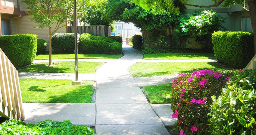 condo landscaping maintenance