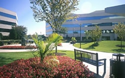 image of condo landscaping