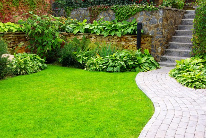 design tips for creating an all green garden landscape