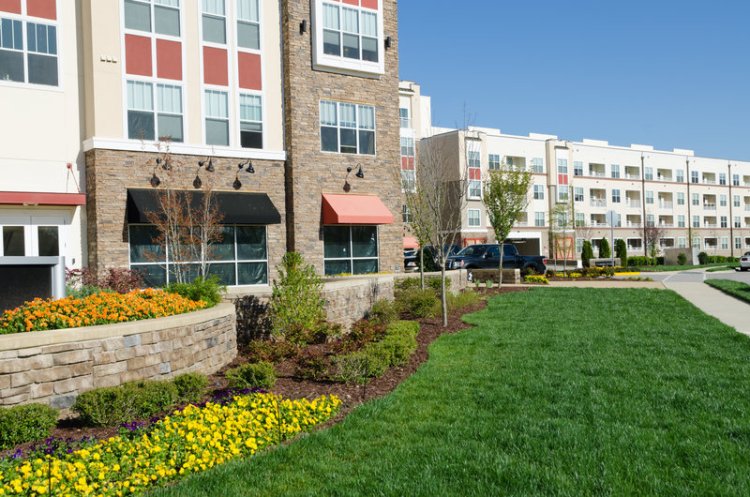 Grow Your Business With These Commercial Landscaping Ideas