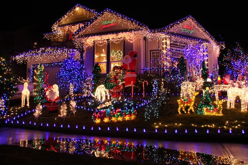 Festive outdoor holiday lights on trees