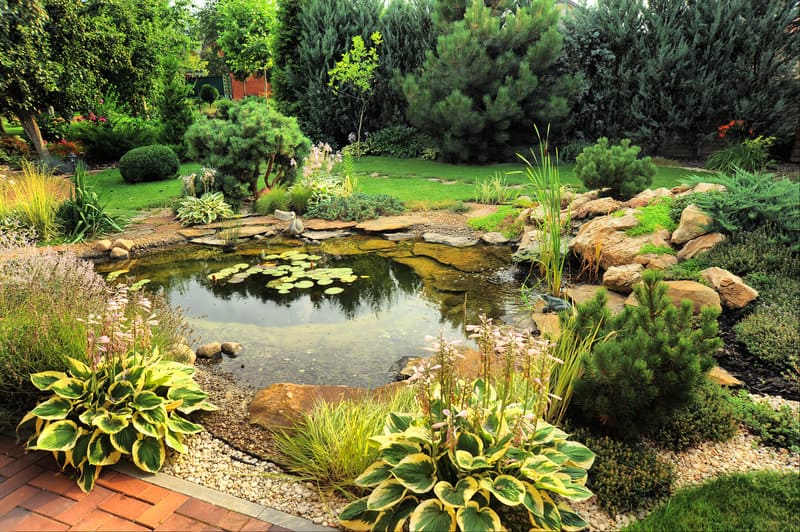 oakland landscape contractor