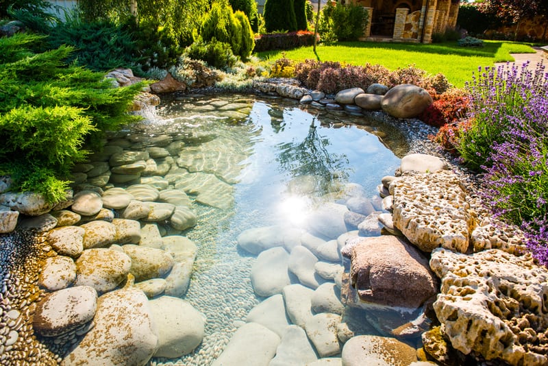 san ramon landscape contractor