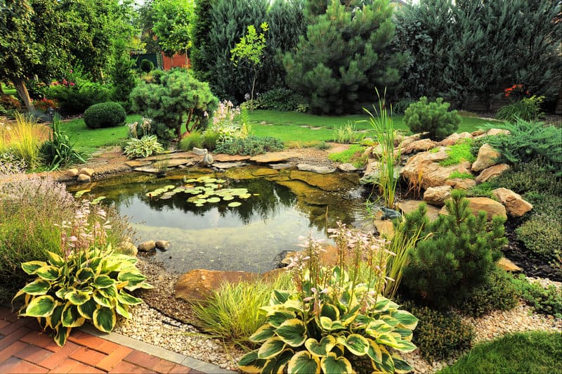the ins and outs of creating a backyard pond