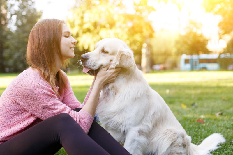 The Ultimate Guide to Dog Friendly Landscaping