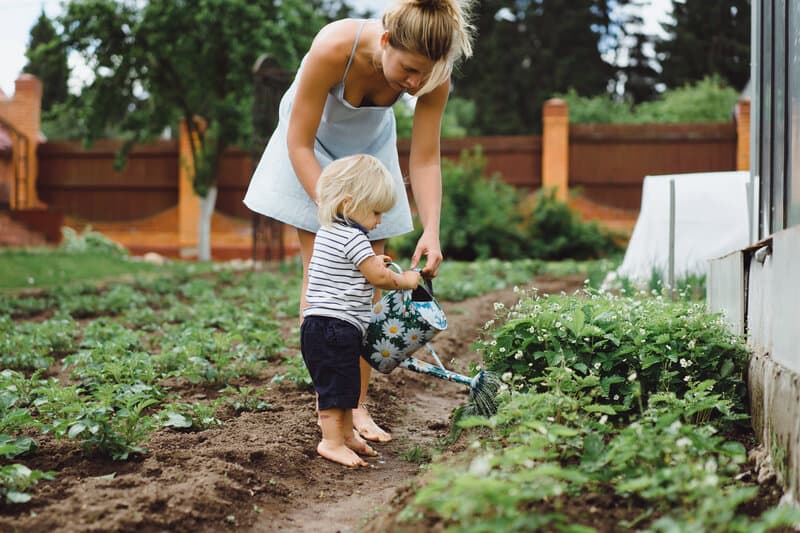 Freshly harvested garden vegetables